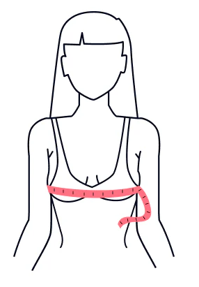 bra cup measurement